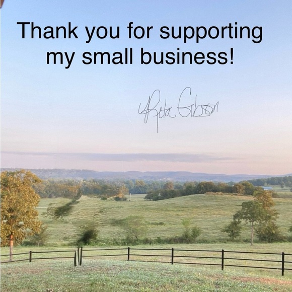 Banana Republic Dark Olive Women's shorts size 10 - Picture 6 of 7